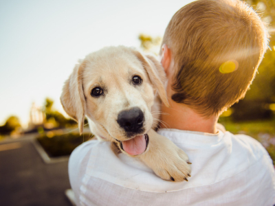 The Best Dog Names for Every Breed: Unique & Popular Picks for Your Puppy