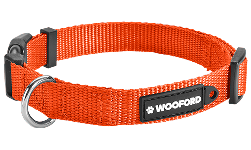 Essential Nylon Dog Collar Orange adjustable dog collar, sturdy silver D-ring metal to attach a dog tag, comfortable and durable lightweight nylon.