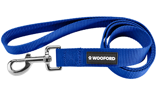 Durable blue nylon dog leash 120cm, easy to clean, with a comfortable loop handle and a secure silver clasp.
