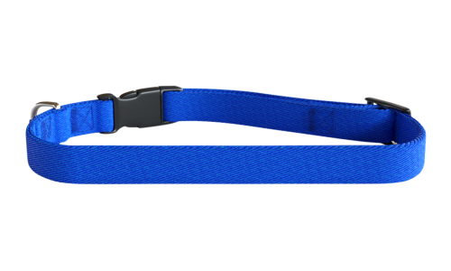 Blue embroided dog collar, 30-46cm in length and 1.5cm wide, lightweight nylon, customisable with dog's name and details.