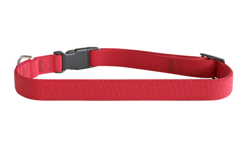 Red embroided dog collar, 30-46cm in length and 1.5cm wide, lightweight nylon, customisable with dog's name and details.