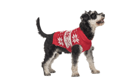 Red winter sweater for dogs with white snowflake pattern, washable, acylic fibers for optimal comfort.