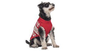 Red winter sweater for dogs with white snowflake pattern, washable, providing warmth and festive style.