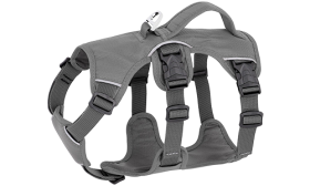 Grey waterproof dog harness with adjustable straps, suitable for different types of dogs, with sturdy silver ring.