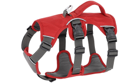 Red waterproof dog harness with adjustable straps, suitable for different types of dogs, with sturdy silver ring.