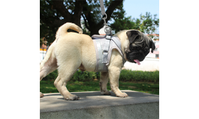 Reflective Dog Harness Vest with Matching Leash Silver reflective dog harness vest with matching leash, lightweight, breathable fabric for comfort and secure fit.