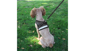 Black reflective dog harness vest with matching leash, lightweight, breathable fabric for comfort and secure fit.