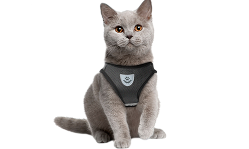 Reflective Cat Harness Vest with Matching Leash Black reflective cat harness vest with a matching leash, practical, includes breathable mesh fabric and a 120cm long leash.