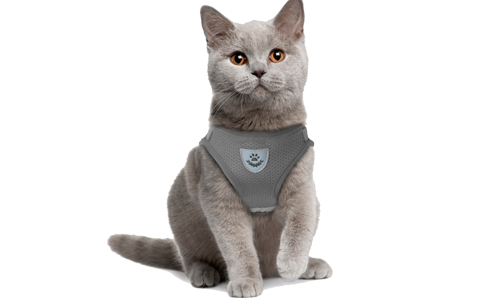 Reflective Cat Harness Vest with Matching Leash Grey reflective cat harness vest with a matching leash, practical, includes breathable mesh fabric and a 120 cm long leash.