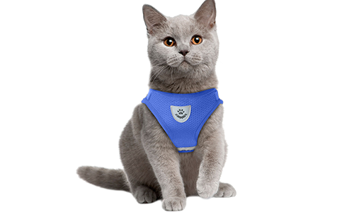 Reflective Cat Harness Vest with Matching Leash Blue reflective cat harness vest with a matching leash, practical, includes breathable mesh fabric and a 120 cm long leash.