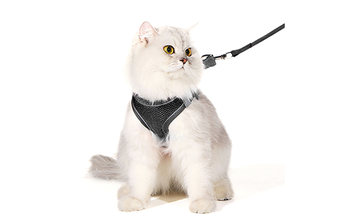 Reflective Cat Harness Vest Black reflective cat harness vest with a matching leash, adjustable and lighweight, 140cm leash, for comfort and visibility.