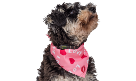 Pink dog bandana with 'LOVE' text, red hearts, and kiss marks, perfect for Valentine's day, high-quality cotton for comfort.