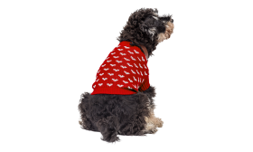 Dog wearing a cosy red sweater with white heart patterns, perfect for on-the-go adventures.