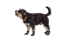 Set of four sport dog shoe socks in grey with non-slip soles, lightweight for dogs comfort, easy to clean material.