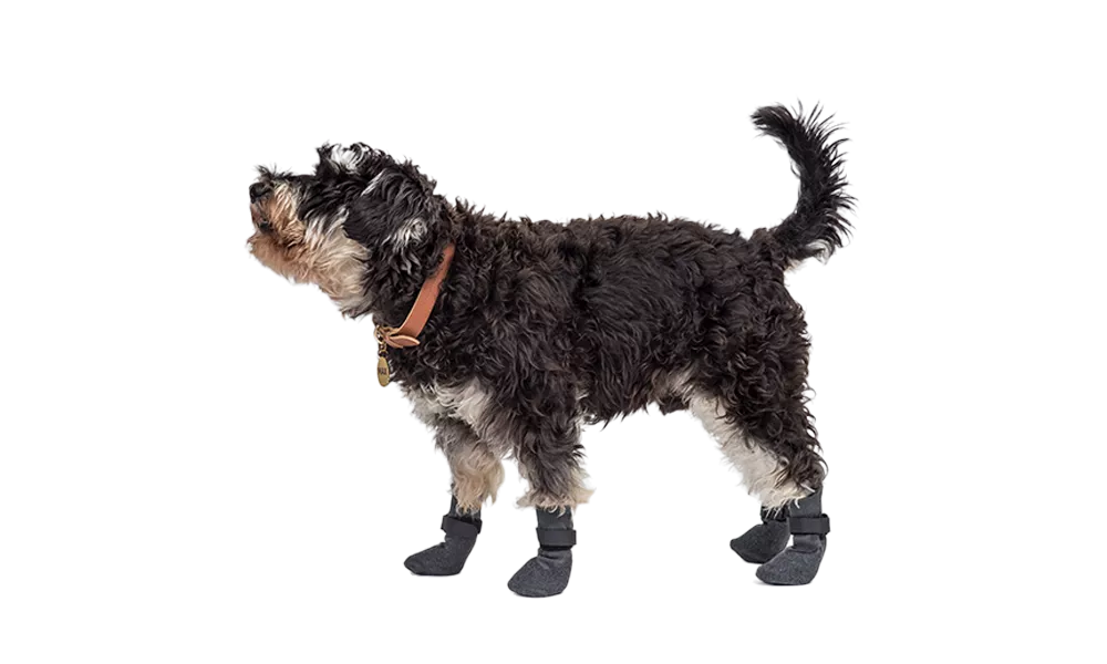 Set of four sport dog shoe socks in grey with non-slip soles, easy to wash, lightweight for dogs outdoor comfort.