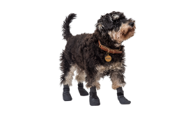 Set of four sport dog shoe socks in grey with non-slip soles, lightweight for dogs comfort, anti-skid rubber.