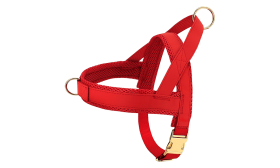 Red dog harness kit with matching collar and leash, lightweight, with gold metal buckles and with D-ring.