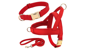 Red dog harness kit with matching collar and leash, lightweight, durable and long-lasting, comfortable and secure fit.