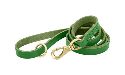 Green luxury genuine leather dog leash, 150 cm in length and comfortable, with gold metal clasp and ring for durability.