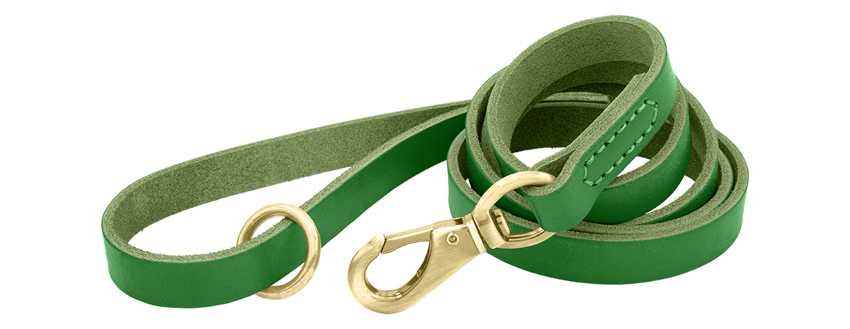 Luxury Genuine Leather Engraved Dog Leash Green luxury genuine leather dog leash, 150 cm in length and comfortable, with gold metal clasp and ring for durability.