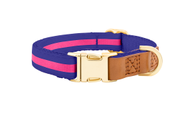 Blue dog collar with adjustable gold metal buckle, 33-55cm in length and 2cm wide, with D-ring for leash attachment.