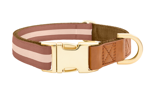 Brown dog collar with adjustable gold metal buckle, 40-63cm in length and 2.5cm wide, with D-ring for leash attachment.