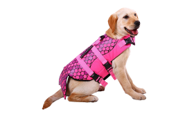 Mermaid-themed dog life jacket in pink with scale pattern, for flotation. Suitable for different types of dogs.