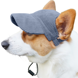 Corgi wearing a breathable blue ribbed dog sports hat, lightweight, to protect from the sun during summer outings.