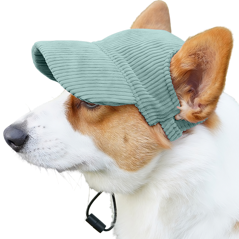 Breathable Dog Sports Hat for Summer Corgi wearing a breathable green ribbed dog sports hat, lightweight, to protect from the sun during summer outings.