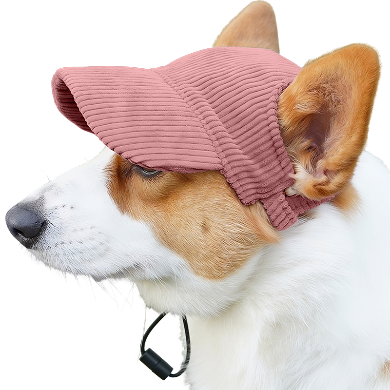 Breathable Dog Sports Hat for Summer Corgi wearing a breathable light pink ribbed dog sports hat, lightweight, to protect from the sun during summer outings.