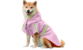 Shiba Inu in a waterproof pink raincoat with reflective strips, easy on and off straps, for rainy walks.
