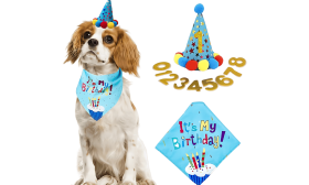 Dog Birthday Bandana Set Blue dog birthday celebration set featuring a colourful 'It's My Birthday!' bandana, soft and durable.