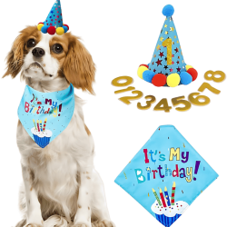 Blue dog birthday celebration set featuring a colourful 'It's My Birthday!' bandana, soft and durable.