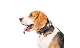 Reflective Airtag Dog Collar Black reflective dog collar with Airtag holder, adjustable, lightweight nylon, fully sealed protection and durability.