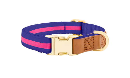 Blue dog collar with gold metal buckle for dog name engraving, 27-40cm in length and 1.5cm wide, with D-ring for attachment.