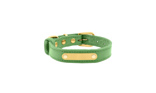 Luxury genuine leather dog collar in green with built-in gold ID plate for name engraving, 37-40cm in length and 2 cm wide.