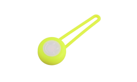 Detachable LED Dog Tag with Glowing Collar Light