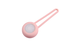 Detachable LED Dog Tag with Glowing Collar Light