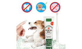 Complete Dog Oral Care Set: Toothbrush, 2 Finger Brushes & Vanilla Toothpaste