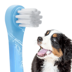 Gentle Clean Dental...