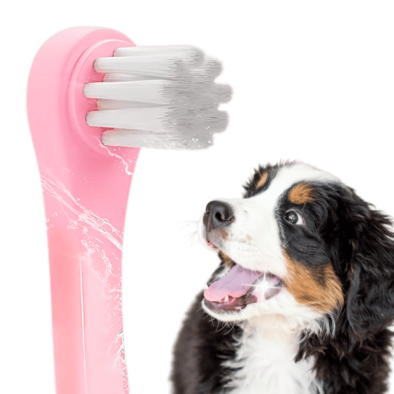 Gentle Clean Dental Toothbrush for Dogs and Cats with Soft Nylon Bristles