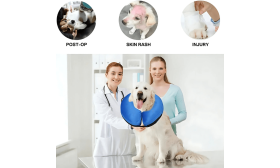 Inflatable Dog Collar - Adjustable Pet Recovery Collar