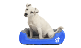 Soft Dog Bed Soft Dog Bed