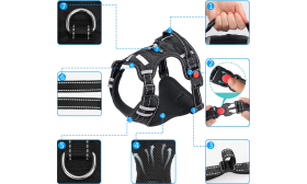 Dog Harness No Pull Detailed view of no pull dog harness, small size, showing durable buckles, reflective stitching, and breathable mesh.