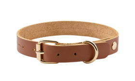 High-end genuine leather dog collar in tan brown, 27-34cm length and 2.2cm width, with gold buckle and D-ring for durability.